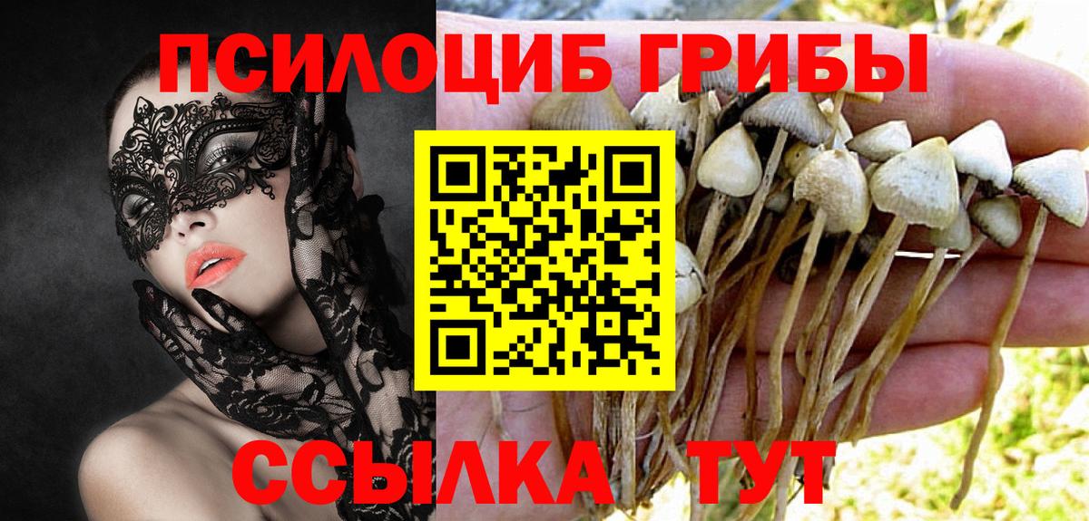 Галлюциногенные грибы Psilocybine cubensis  Вход с VPN  Изобильный 